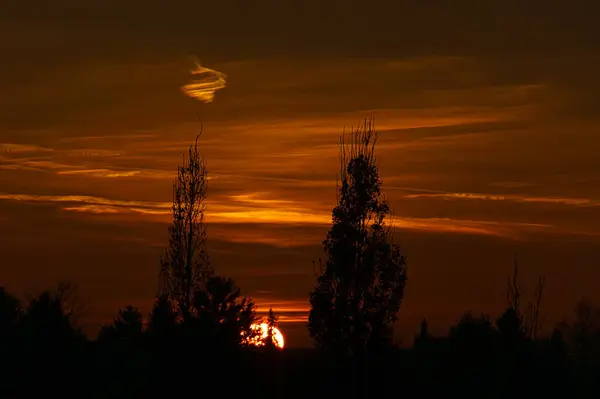 Puesta Sol Las Afueras Berlín Cielo Parece Arder Romántico Cielo — Foto de Stock