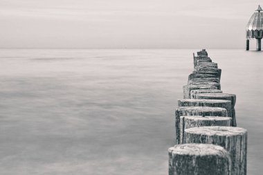 Baltık Denizi 'ndeki Groyne' ler büyük bir yapıya sahip siyah beyaz. Zingst 'te çekilmiş.