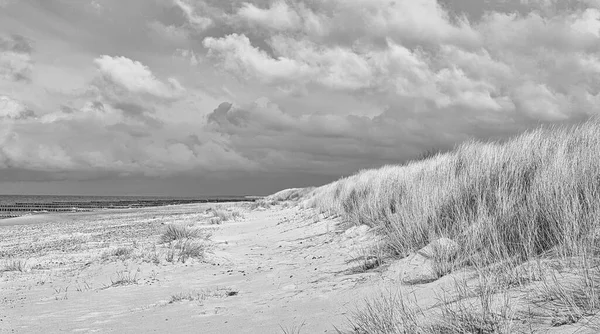 Bałtyckiej Plaży Morskiej Chmurami Wydmami Plażą Czerni Bieli Rekreacja Wakacjach — Zdjęcie stockowe