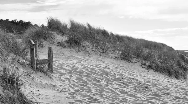 너머로 해변이 펼쳐져 발트해 해변에서 해변을 거닐다 — 스톡 사진