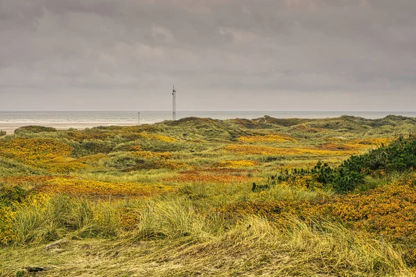 在Blavand丹麦海岸 俯瞰沙丘 秋天所有的东西都是五彩缤纷的 — 图库照片