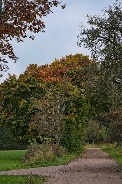 Landschap Met Heuvels Velden Weiden Landbouw Wandelen Natuur Wandelpaden Die — Stockfoto