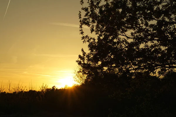 Pôr Sol Nos Arredores Berlim Céu Parece Arder Céu Romântico — Fotografia de Stock