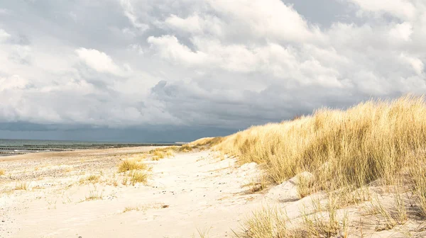 Baltikum Tengerpartján Felhőkkel Dűnékkel Stranddal Túrázás Ősszel Nagyszerű Táj Egy — Stock Fotó