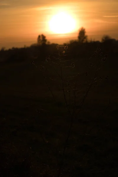 Висадка Сонця Околиці Берліна Небо Здається Горить Романтичне Вечірнє Небо — стокове фото
