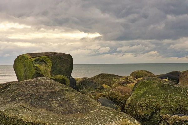 Groyne Pietra Che Vanno Mare Sulla Spiaggia Blavand Danimarca Struttura — Foto Stock