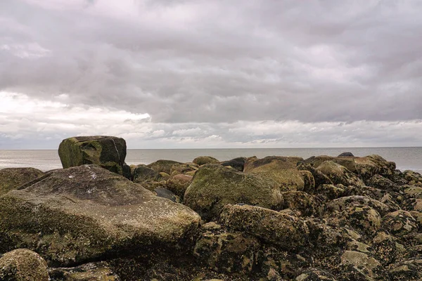Groyne Pietra Che Vanno Mare Sulla Spiaggia Blavand Danimarca Struttura — Foto Stock