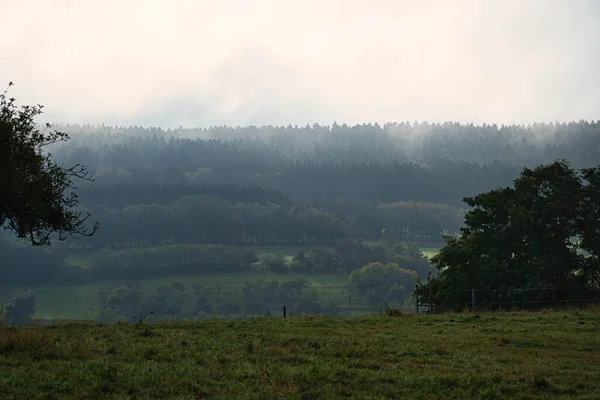 Landschaft Mit Hügeln Feldern Wiesen Und Landwirtschaft Wandern Der Natur — Stockfoto