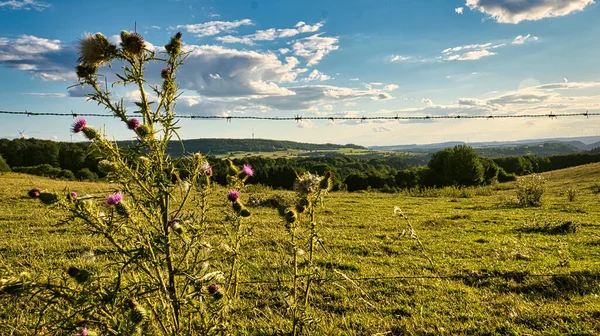 Una Giornata Sole Saarland Con Vista Sui Prati Nella Valle — Foto Stock