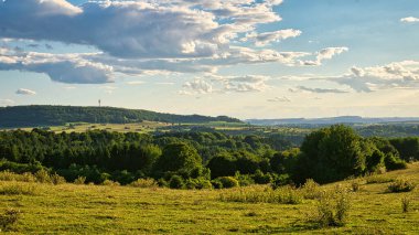 Saarland 'da güneşli bir gün. Vadideki çayırların üzerinden manzaralı. Gökyüzünde güneşli bulutlar ve otlayan inekler. Biraz oyalanalım, dinlenelim ve eğlenelim.