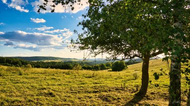 Saarland 'da güneşli bir gün. Vadideki çayırların üzerinden manzaralı. Gökyüzünde güneşli bulutlar ve otlayan inekler. Biraz oyalanalım, dinlenelim ve eğlenelim.