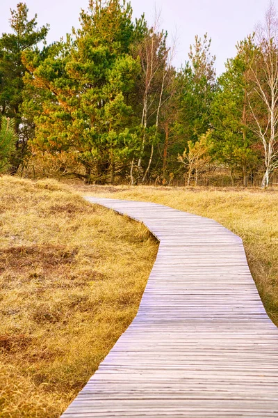 Turistická Stezka Přes Dřevěnou Lávku Vysoké Duně Tmě Národní Park — Stock fotografie