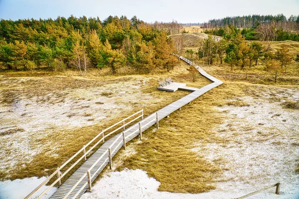 Hiking Trail Wooden Footbridge High Dune Darss National Park Germany — Stockfoto