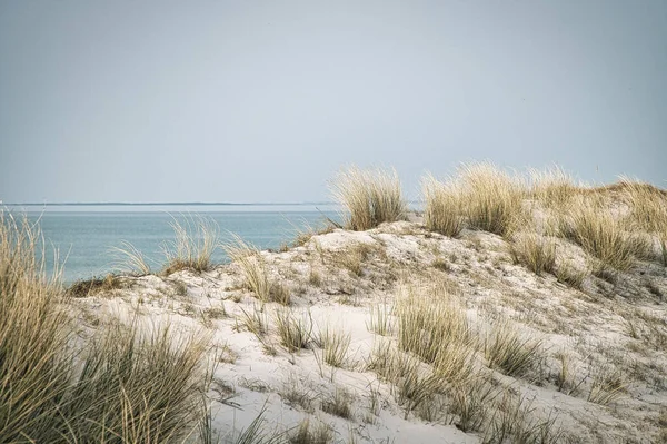 High Dune Darss Viewpoint National Park Beach Baltic Sea Sky — стокове фото