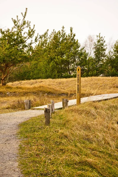 Sendero Senderismo Sobre Una Pasarela Madera Duna Alta Darss Parque — Foto de Stock