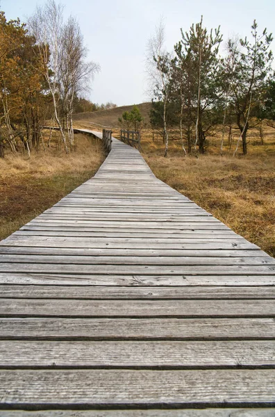 Ulusal parkta, Darss nehrinde, banyo yapmak, izinsiz girmek yasaktır. Baltık Denizi 'ndeki tehlikeli kum tepeleri ve uçurumlar. Hayvan koruması.