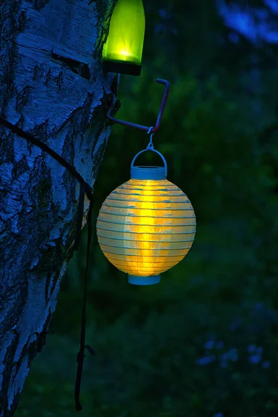 String Lights Hanging Tree Garden Party Romantic Place Colorful Light — Zdjęcie stockowe