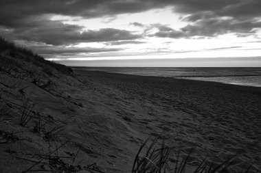 Baltık Denizi sahilinde, siyah beyaz, bulutlu, kumlu ve plajlı. Sonbaharda yürüyüş. Tatil için harika bir manzara