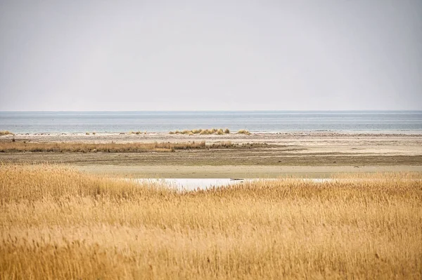 Bird Lookout Pramort Darss Wide Landscape View Bodden Baltic Sea — ストック写真