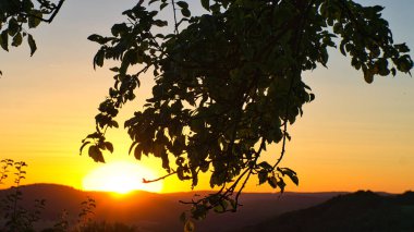 Saarland 'da bir çayırda gün batımında ağaçlar ve vadi manzarası. Sıcak hava turuncu, kırmızı ve altın renginde.