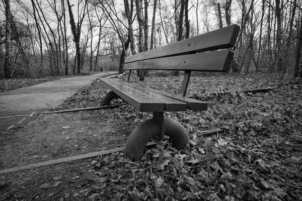 Wooden park bench in black and white over abandoned railroad tracks in a park in autumn. Lonely enjoy the peace and quiet in nature. Still life photo.