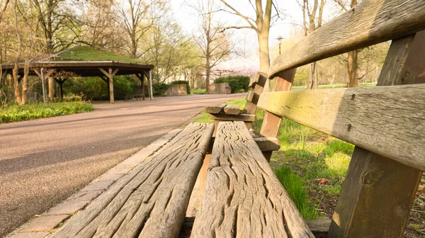 Park bench in the park. Bench made of wood. Resting after a walk. Photo from nature