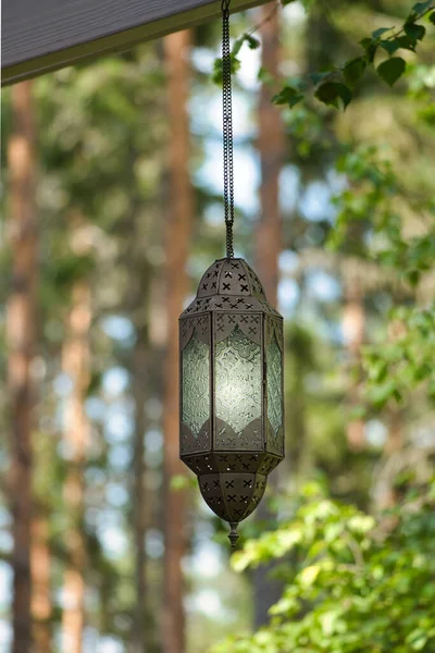 Hanging Lamp Track Front Forest Metal Glass Illuminated Oriental Processing — стоковое фото