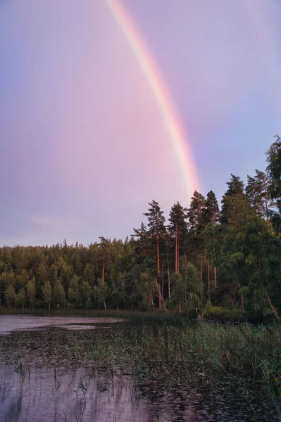 Rainbow reflected in the lake when it rains. in the background forest, on the lake reeds and water lilies. Nature photos from Sweden