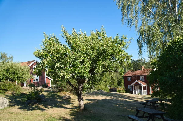 Шведський Червоний Білий Традиційний Будинок Смоленді Білий Паркан Зелений Сад — стокове фото