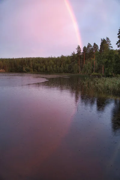 Rainbow reflected in the lake when it rains. in the background forest, on the lake reeds and water lilies. Nature photos from Sweden