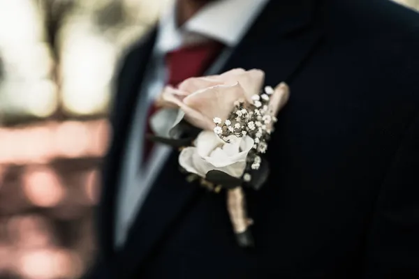 Wedding Groom Feather Suit — Stock Photo, Image