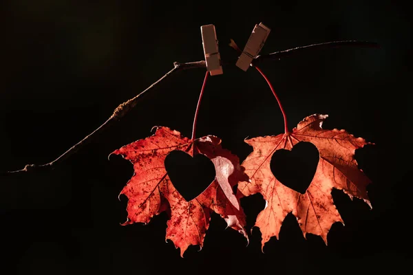 Hallo Herbst Hängende Blätter Mit Herzen Einem Warmen Herbstabend September — Stockfoto