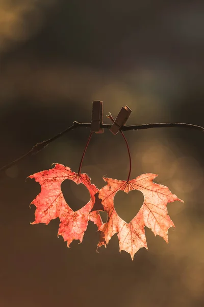 Hallo Herbst Hängende Blätter Mit Herzen Einem Warmen Herbstabend September — Stockfoto