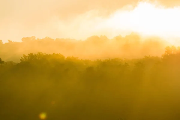 Niesamowity Wschód Słońca Nad Lasem Południowej Słowacji Piękne Ciepłe Promienie — Zdjęcie stockowe