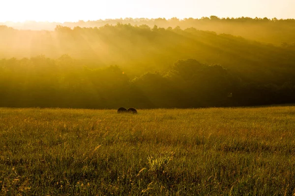 Amazing sunrise over the forest in south Slovakia, beautiful warm rays in fog