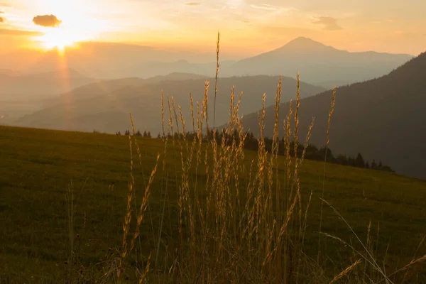 Montanhas Cobertas Pelo Sol — Fotografia de Stock