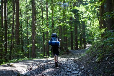 İnsansız hava aracıyla ormanda video çekimi