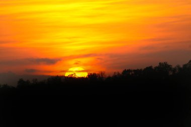 Doğadaki ağaçların arkasında inanılmaz bir gün batımı.