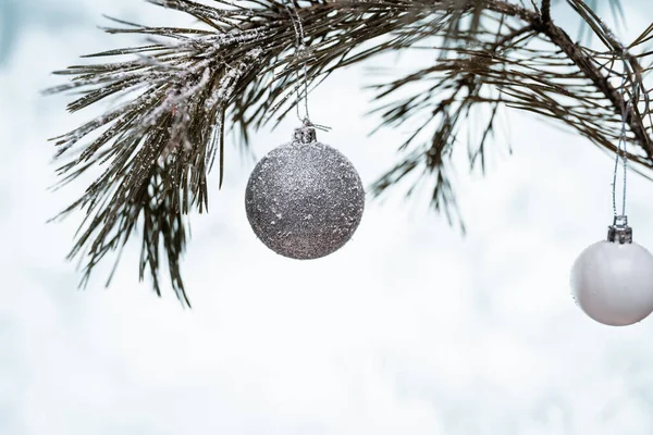 Noel Arkaplanı Çeçenizde Asılı Noel Baloları Dekorasyon Noel Zamanı Geliyor — Stok fotoğraf