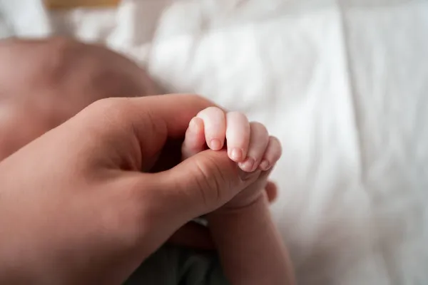 Anne yeni doğmuş bebeğini kucağında tutuyor. Aile sıcaklığı kavramı, sevgi dolu bebek ve anne, kürtaj karşıtı fotoğraf, anne ve bebek arasındaki aşk, yeni hayat, aile.
