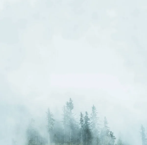 雾蒙蒙的森林 令人惊奇的背景和心情 雨后山上白雾覆盖的绿色云杉林 可用作旗帜 — 图库照片