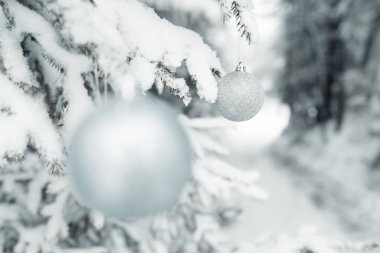 Mutlu Noeller, mutlu tatiller, ormanın ortasında Noel atmosferi, karlı bir ağaçta noel balosu, kartpostallar, afişler, afişler, 2021 Noel 'i