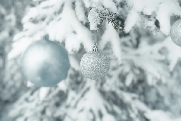 Mutlu Noeller Mutlu Tatiller Ormanın Ortasında Noel Atmosferi Karlı Bir — Stok fotoğraf
