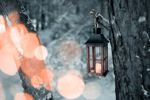 Lantern Lights Middle Snowy Landscape Lamp Hope Christmas Frosty Atmosphere — Stock Photo, Image