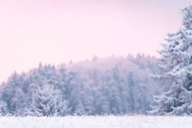 Karla kaplı güzel donmuş manzara, posterler, kartpostallar, afişler için kullanışlı bir zemin, kış geliyor, 2021 Noel 'i