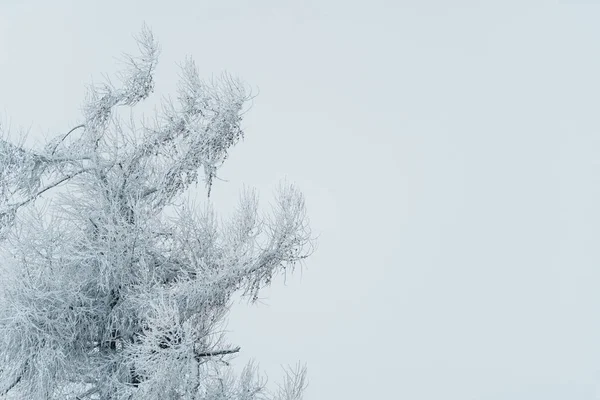 Piękny Zamarznięty Krajobraz Pokryty Śniegiem Przydatny Jako Tło Dla Plakatów — Zdjęcie stockowe