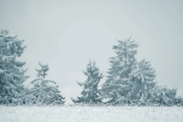 Gyönyörű Fagyasztott Táj Hóval Borított Hasznos Háttér Plakátok Képeslapok Bannerek — Stock Fotó