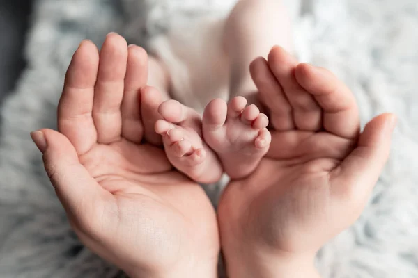 Mãe Segura Pés Bebê Recém Nascido Seus Braços Amor Primeira — Fotografia de Stock