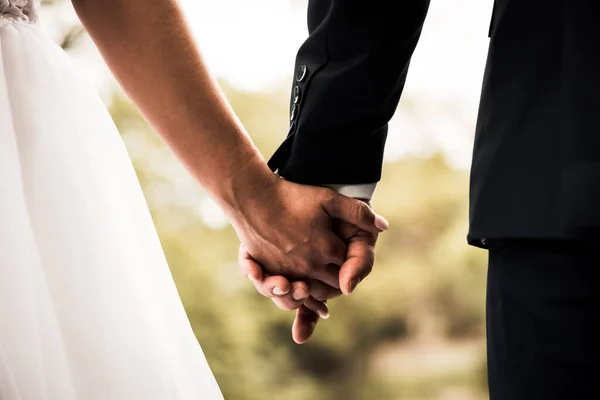 Menyasszony Vőlegény Fogják Egymás Kezét Jövőbe Tekintenek Természet Közepén Ifjú — Stock Fotó