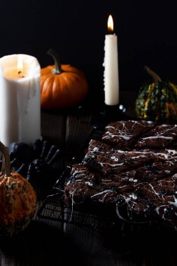 Cadılar Bayramı kutlaması Mistik örümcek ini Cadılar Bayramı kartpostalları